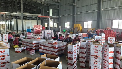 農(nóng)產(chǎn)品與電商深度融合 賦能鄉(xiāng)村振興——陜能院學(xué)子調(diào)研云陽站電商扶貧基地